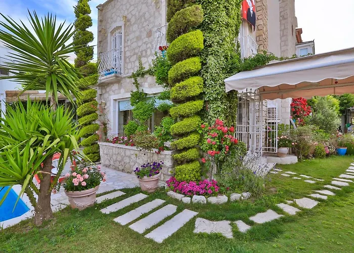 Stone Villa,large Garden,swimming Pool, Very Close The Beautiful . * Чешме